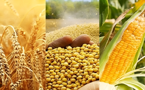 80% chất phụ gia, thức ăn chăn nuôi bổ sung của Việt Nam còn phụ thuộc vào nguồn nhập khẩu